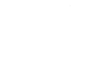Executive Language Services